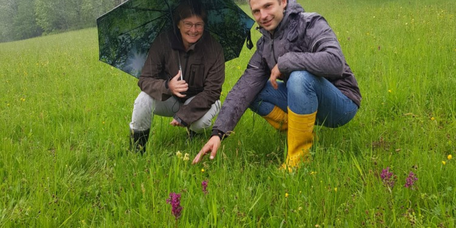 Steinberger und Schuberl besichtigen Holunderknabenkraut